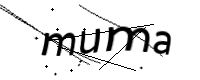 captcha_img