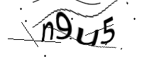 captcha_img