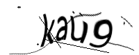 captcha_img