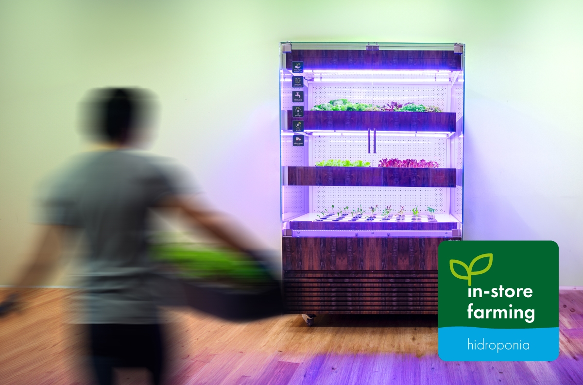 Solução para cultivo em hidroponia